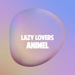 官网运营小虾导航
