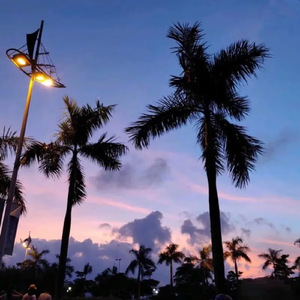 官网运营小虾导航
