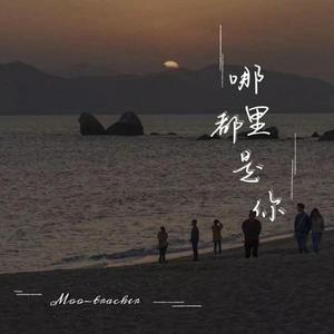 官网运营小虾导航
